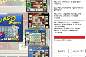 5 Cards Slingo Deluxe abandonware